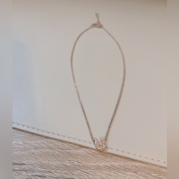 Fossil Horseshoe Necklace - Picture 1 of 10